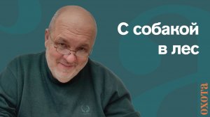 С собакой в лесу. Валерий Кузенков, как взять с собой собаку в лес
