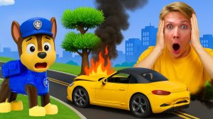 Водитель на большой скорости врезался в дерево! Щенячий Патруль спешит на помощь