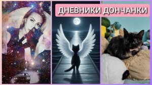 Почему я снова пропала с радаров? #влог #влоги #кошки