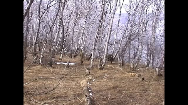 От боевого барда Стаса. Тусхарой - ГЭСЭР.