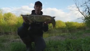 НАШЁЛ ЛОГОВО ГОЛОДНЫХ ЩУК! Не зря остался рыбачить до вечера. Рыбалка на спиннинг 2025.