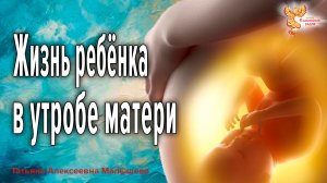 Жизнь ребёнка в утробе матери