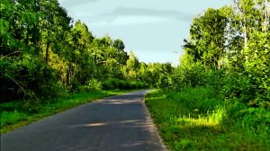 Велопрогулка