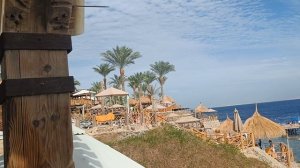 PICKALBATROS LUXURY HOTEL 5. ШАРМ ЭЛЬ ШЕЙХ.3 ДЕКАБРЯ 2025.