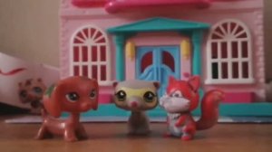 Письмо Деду Морозу от питомцев