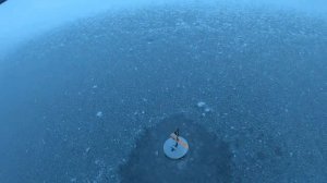 Дождался!Первый лед!Раздача щуки.Рыбалка по первому льду.