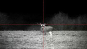 Лоси в цифровой прицел Atak ES3 Tube mini