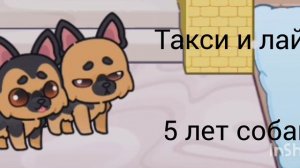 новое интро🥰