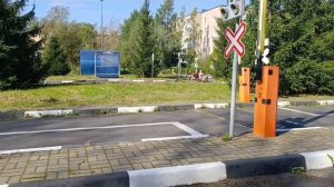 Страна Светофория 2025