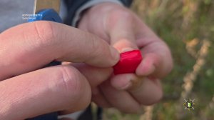 Даанкылоуп Ҧсахара ақыҭан инхо атәылауаҩы, арҩышьыгатә маҭәашьар алаирҵәон ҳәа зыгәҩара рымаз.