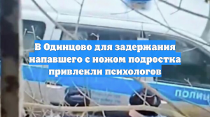 В Одинцово для задержания напавшего с ножом подростка привлекли психологов