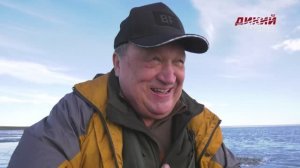 В дикие нехоженые дали