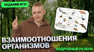 Задание 21 | Все что нужно знать для ОГЭ по биологии | Елена Зеленская | Умскул