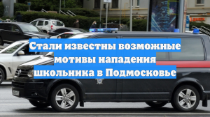 Стали известны возможные мотивы нападения школьника в Подмосковье