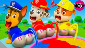 Щенячий патруль и Маршалл. Залипательное видео. Мультфильм для детей и малышей. Анимация
