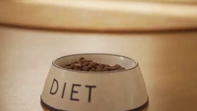 3 «Смешные анекдоты про котов 🐱🤣 Невозможно не смеяться!»