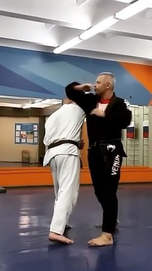 Вариант ухода от маваши тсуки