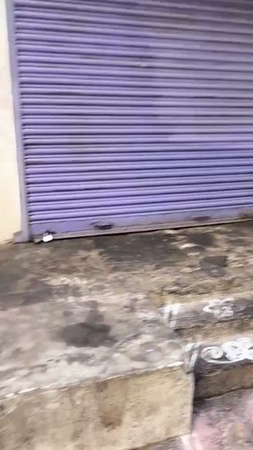 Моя соседка в Индии добрая и красивая в душе. Она Лакшми