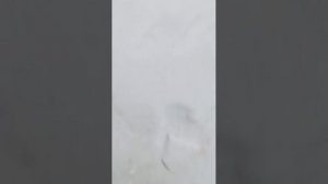 от первого лица