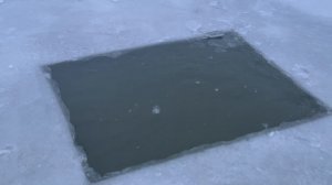 Зарыбление по первому льду