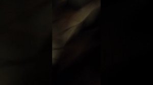 трансляция