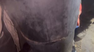 Гранулятор DR3R 300 inFermer PRO Производство Гранулированного Удобрения Из Овечьей Шерсти