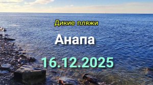 Анапа 16.12.2025 Дикие пляжи