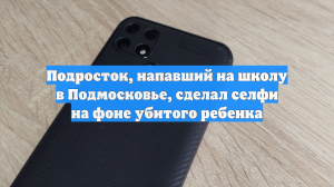 Подросток, напавший на школу в Подмосковье, сделал селфи на фоне убитого ребенка