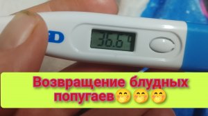 мы вернулись! мы снова с вами!