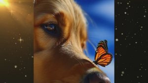 Сборник AI роликов