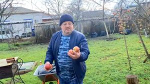 943 Ютуб больше не будет работать. А мы продолжаем. Простая жизнь в станице.