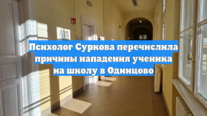 Психолог Суркова перечислила причины нападения ученика на школу в Одинцово
