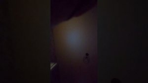 общаемся и играем