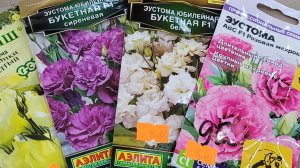 Посев эустомы в декабре 2025