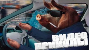 ЛУЧШИЕ ПРИКОЛЫ 2025 | ПРИКОЛЫ 2025 | СВЕЖИЕ ПРИКОЛЫ 2025 | РЖУ НЕ МОГУ |