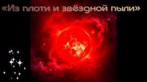 «Из плоти и звёздной пыли»