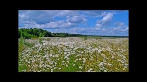 РОДИНЫ КРАЙ РОДНОЙ