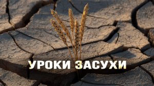 Вопрос о кооперации снова встаёт в полный рост