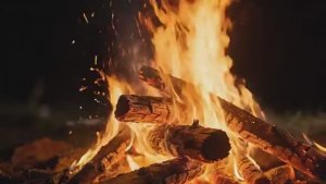 Там лилии цветут - ОТ  JuliettArt007