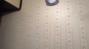 Красотка Мери 🤣‼️