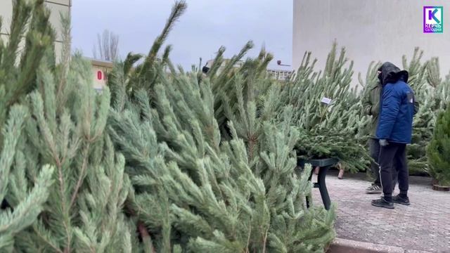 В Керчи открылись елочные базары: найдётся дерево для каждого дедмороза смотреть онлайн