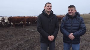 Животноводство - новое направление в КХ «Артёмово»