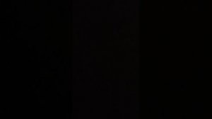 пранк над котами