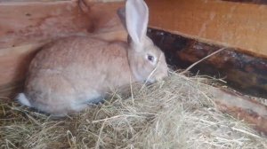 День начался / Влог.