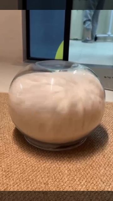 Хрустальный шар с котом