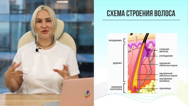 Color Basic. Урок 1. Структура волос