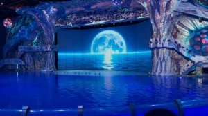 LlYNA_Lovely Chaos. Москвариум. На шоу смотрела с восторгом.