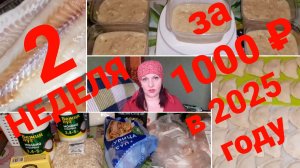 КАК ПРОЖИТЬ НЕДЕЛЮ НА 1000 рублей в 2025 году 2 серия