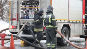 Мать и двое детей погибли при пожаре в Вологодской области