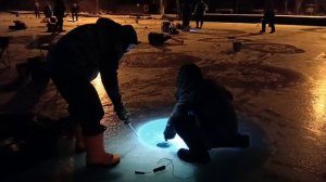 Поимка форели. Сезон 2025/2026.